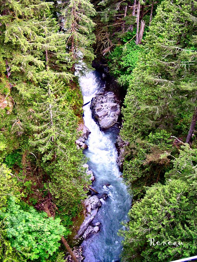 Carbon River - Washington State Photograph by A L Sadie Reneau