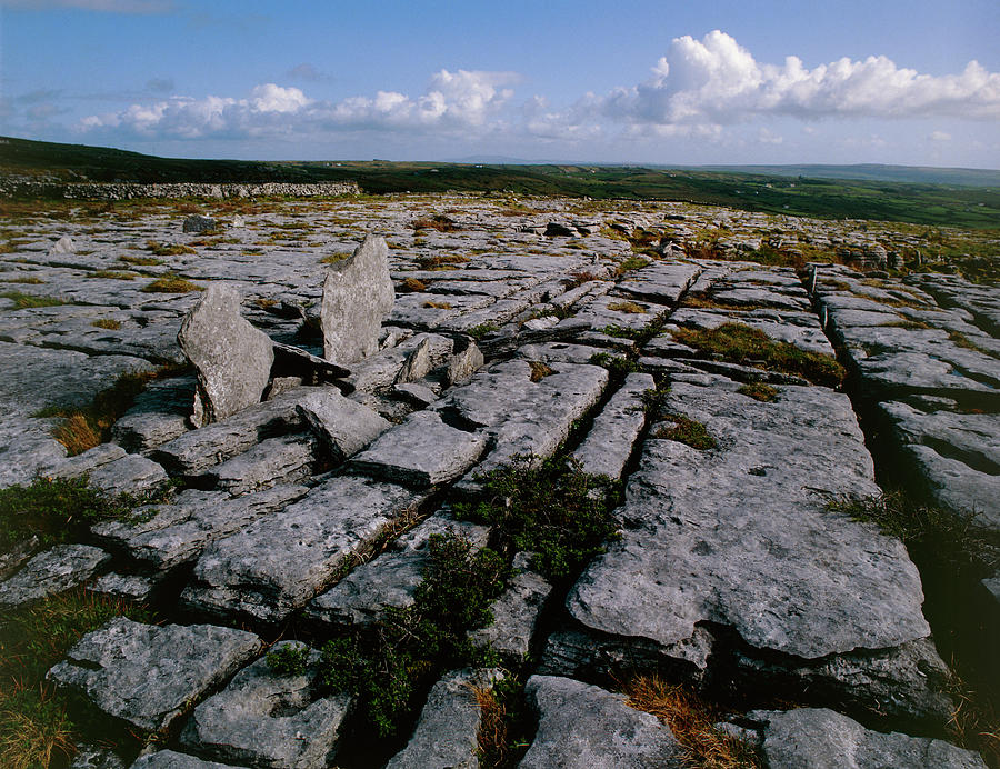 Carboniferous Limestone Pavement by Science Photo Library