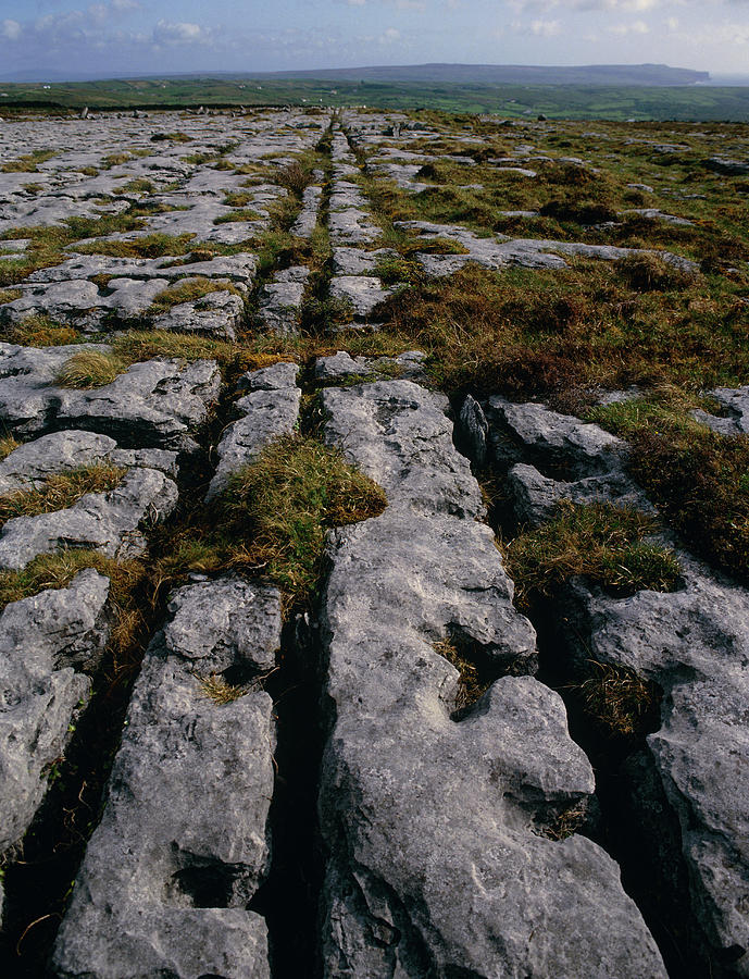 Limestone Pavement Photograph - Carboniferous Limestone Pavement With Ridges/cleft by Sinclair Stammers/science Photo Library.