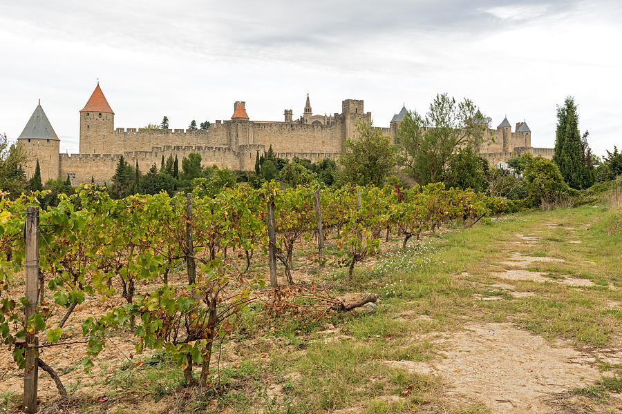 Carcassonne castle Photograph by Marek Poplawski