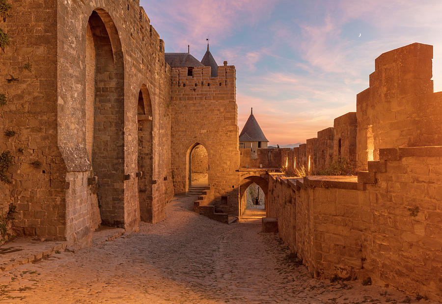 Carcassonne Citadel Photograph by Michael Szoenyi/science Photo Library