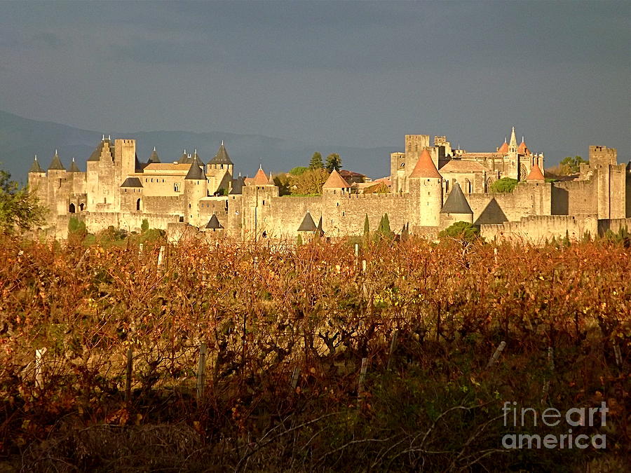 Fall Photograph - Carcassonne in Fall by France  Art