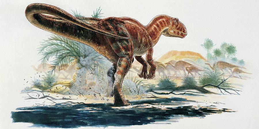 jpog carcharodontosaurus