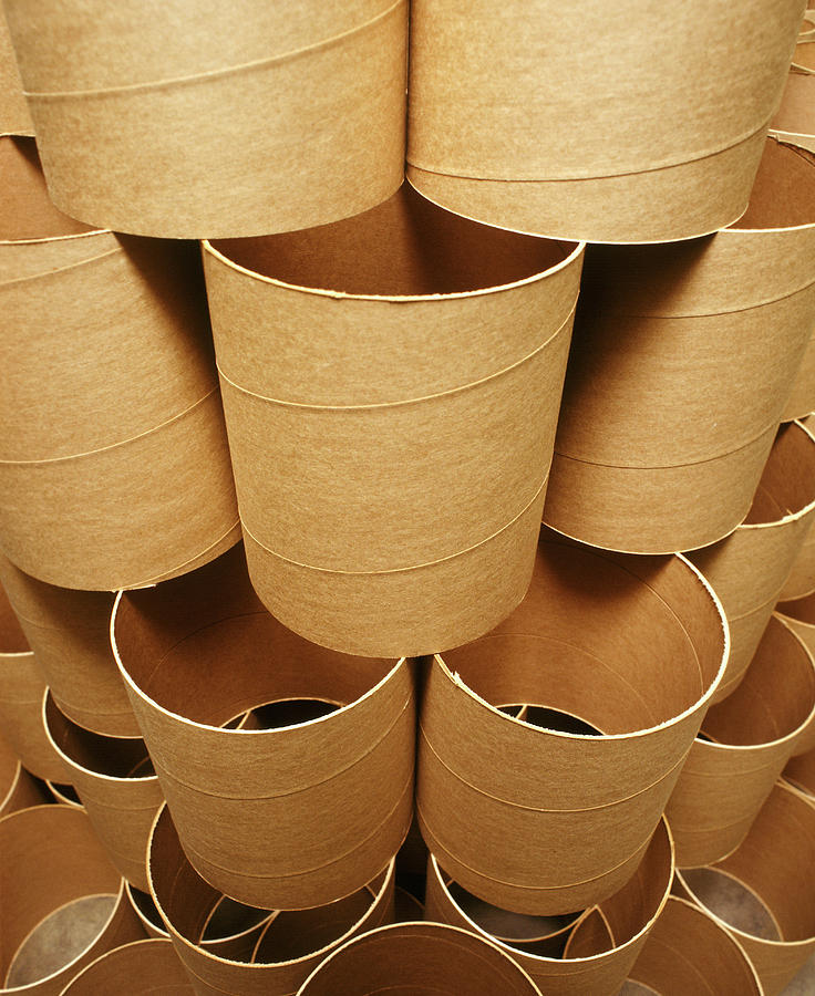 Cardboard Rolls Photograph by Ton Kinsbergen/science Photo Library