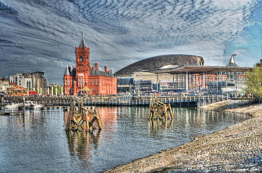 Dolphin Photograph - Cardiff Bay Textured by Steve Purnell