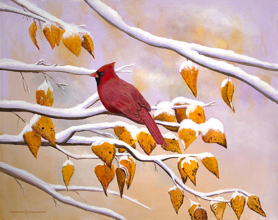 Cardinal Painting by Dorothy Riley