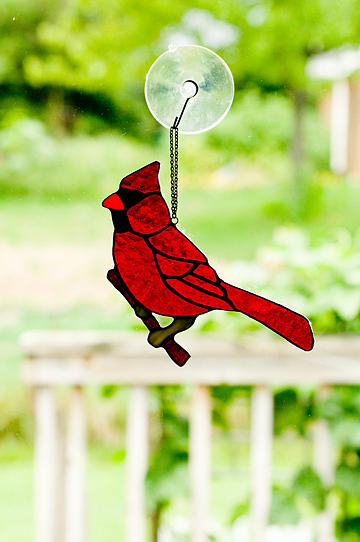 Cardinal Glass Art - Cardinal by Halina Kabat