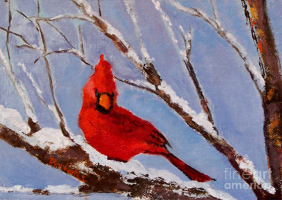 Cardinal in Afternoon Light Painting by Alicia Drakiotes - Fine Art America