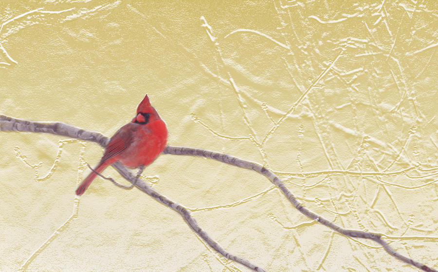 Cardinal In Gold Leaf Mixed Media