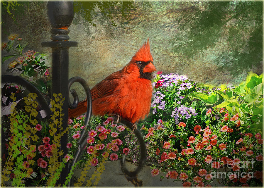 Cardinal in the flower garden photoart III Digital Art by Debbie Portwood