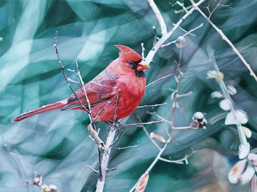 Cardinal in Winter Painting by Joshua Martin