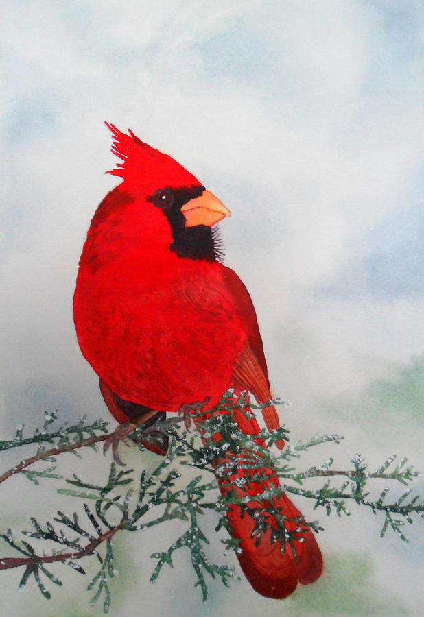 Red Painting - Cardinal by Laurel Best