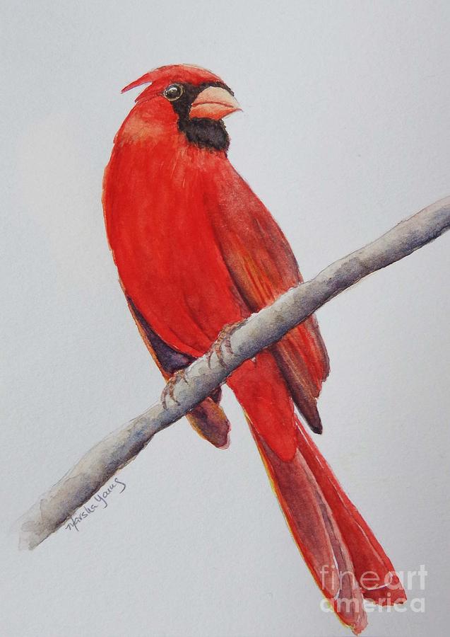 Cardinal Painting by Marsha Young