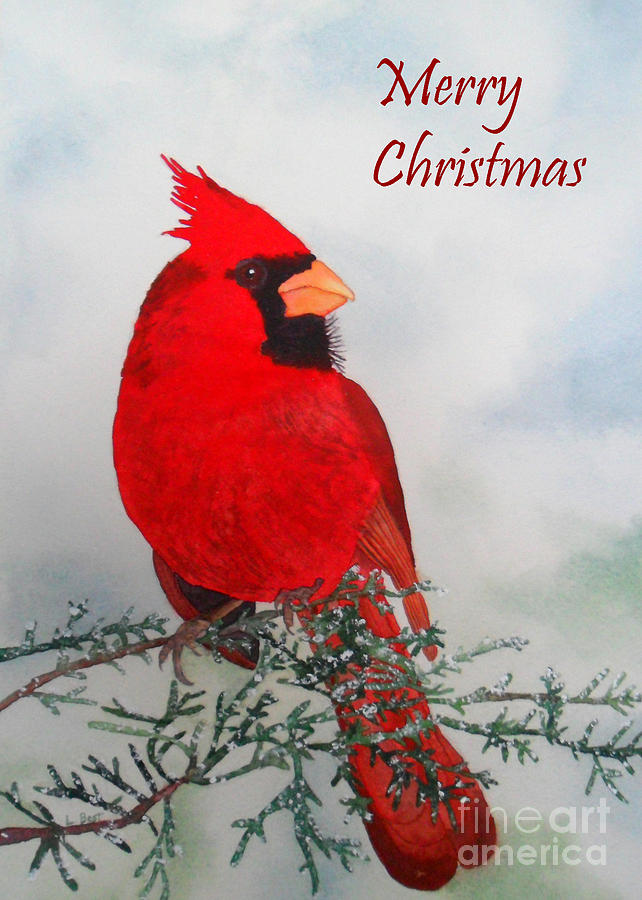 Cardinal Merry Christmas Painting by Laurel Best
