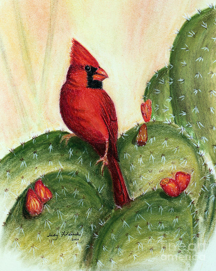 Cardinal Painting - Cardinal on Prickly Pear Cactus by Judy Filarecki