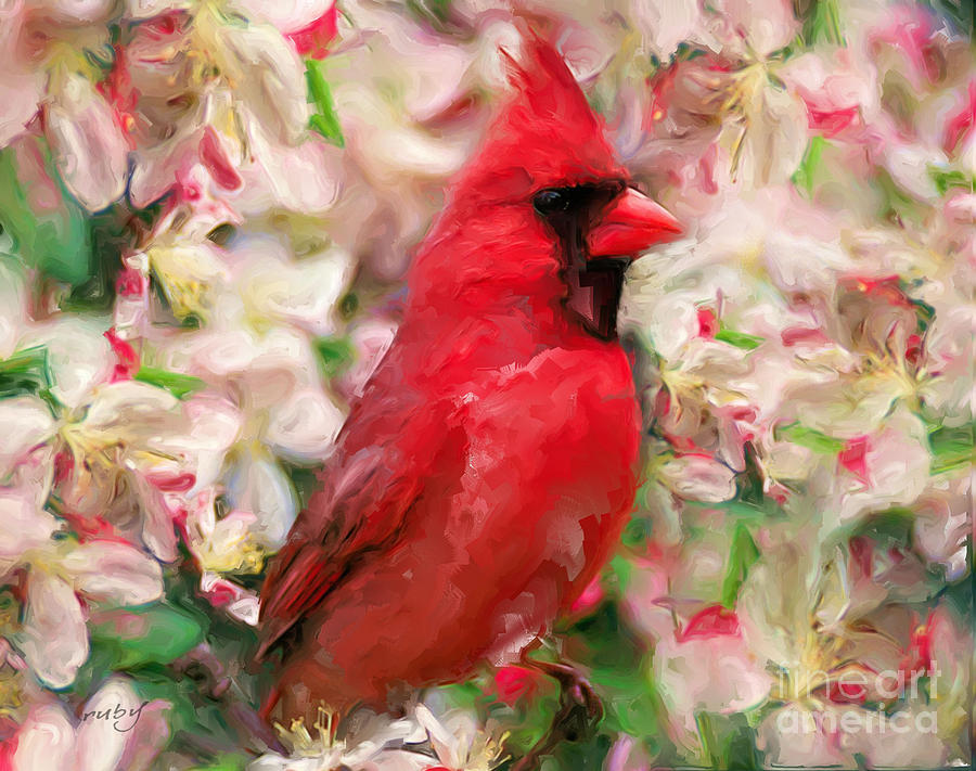 Cardinal Red Digital Art by Ruby Cross