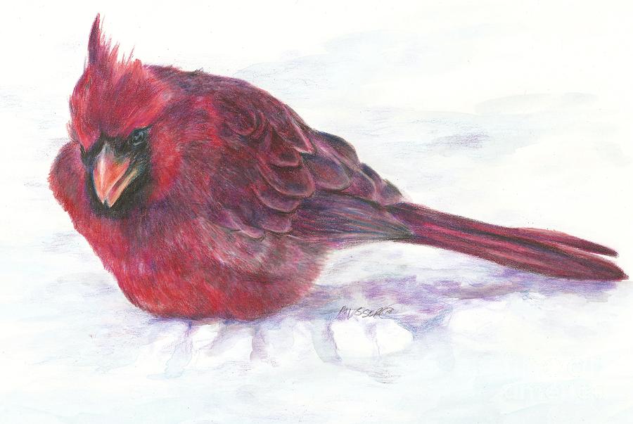 Cardinal study Drawing by Meagan  Visser