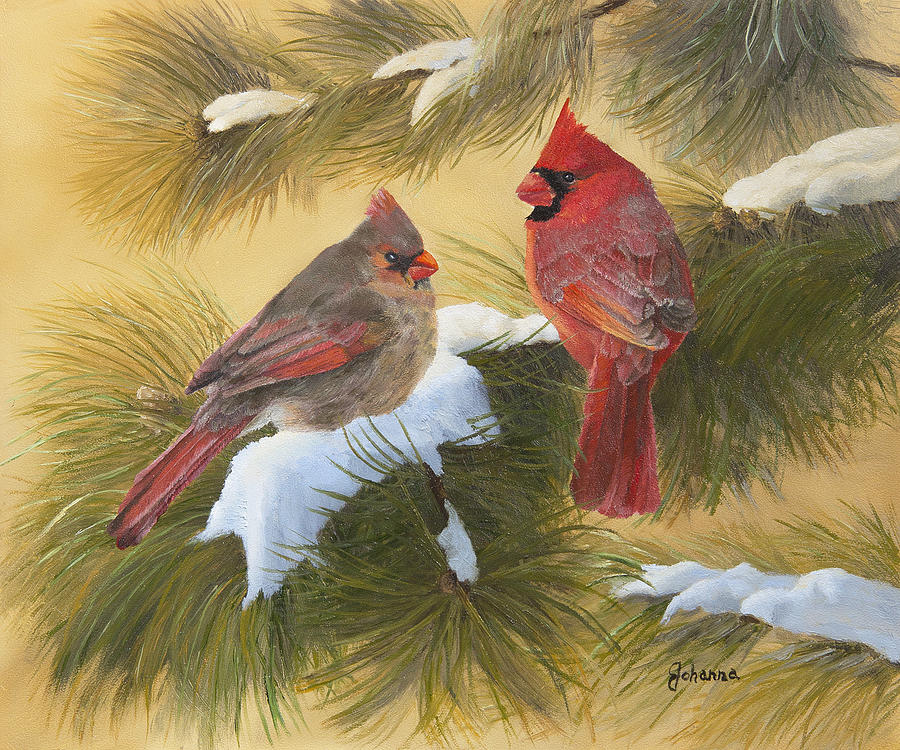 Cardinals And White Pine Painting by Johanna Lerwick