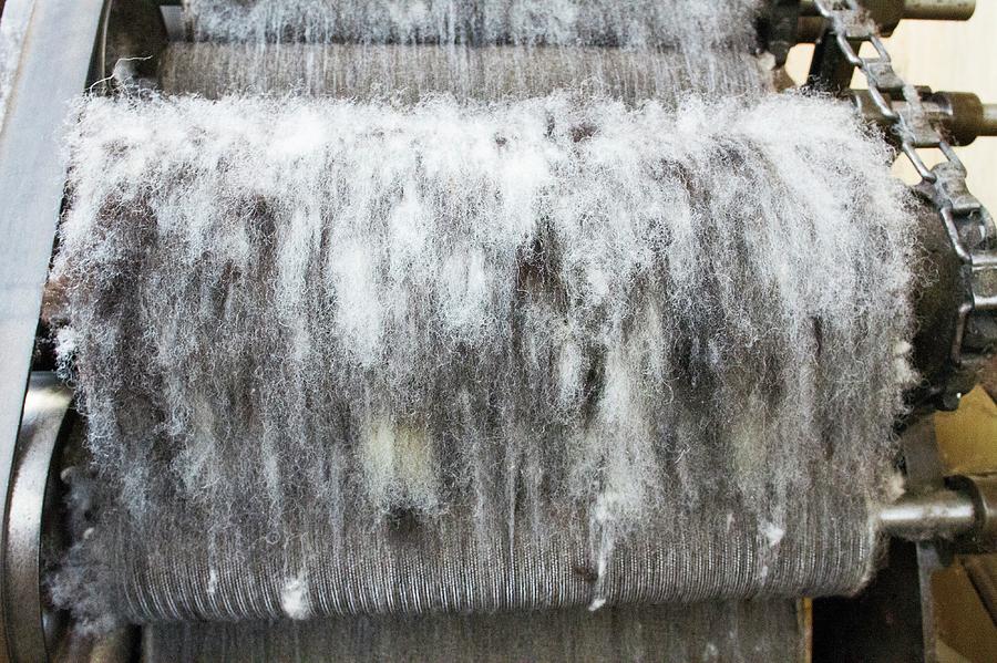 Carding Machine In Woollen Mill Photograph by David Woodfall Images/science Photo Library