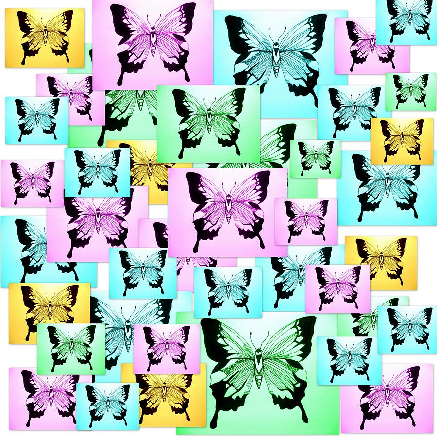 Carefree Butterflies Digital Art by Cathy Jacobs - Fine Art America