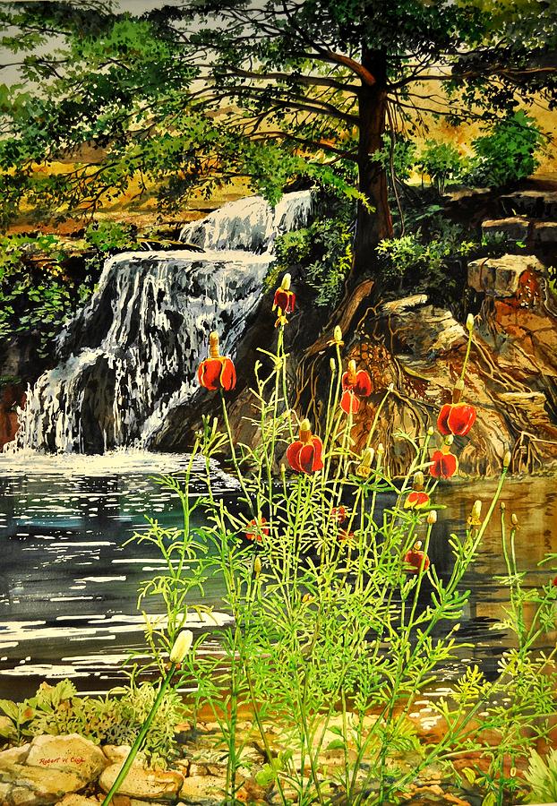 Carey Falls at Star Ranch Painting by Robert W Cook 