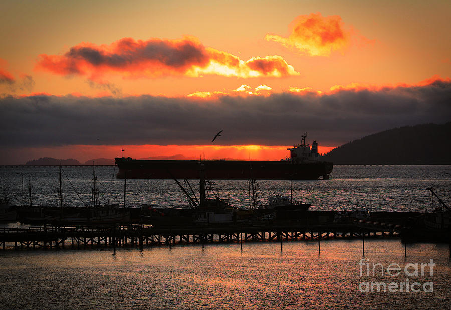 Sunset Photograph - Cargo Ship at Sunset by Steven Baier