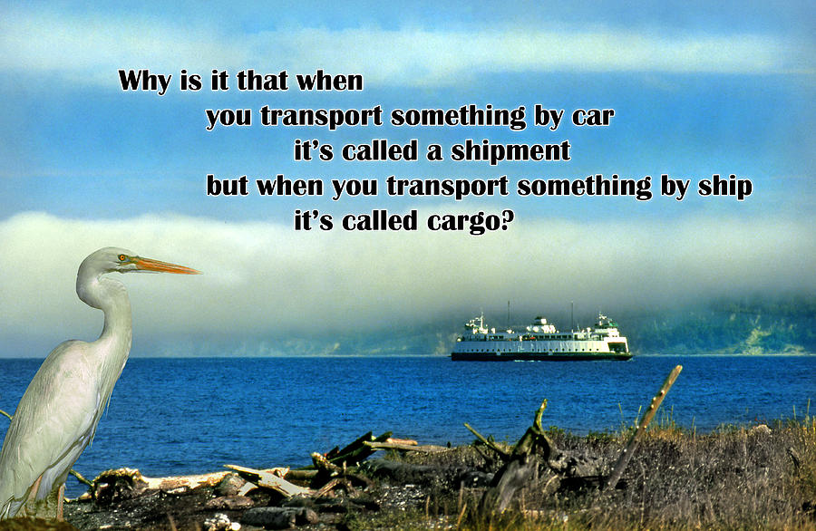 Cargo vs Shipment Photograph by Mike Flynn