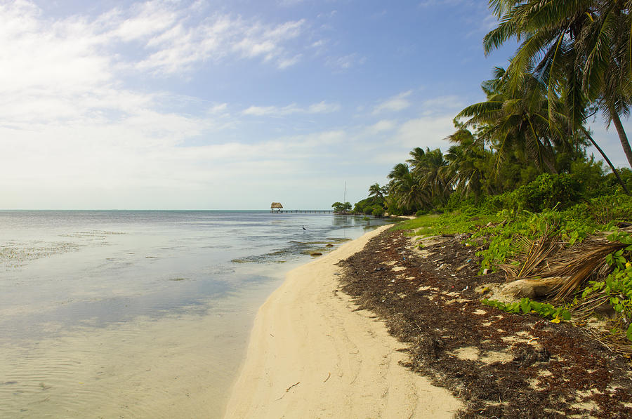 Caribbean Beach in Ambergris Caye Belize Photograph by Brandon ...