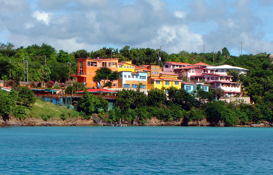 Caribbean Colors Photograph by Donna Proctor