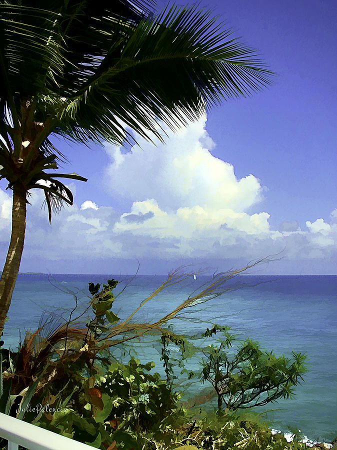 Caribbean Day Photograph by Julie Palencia