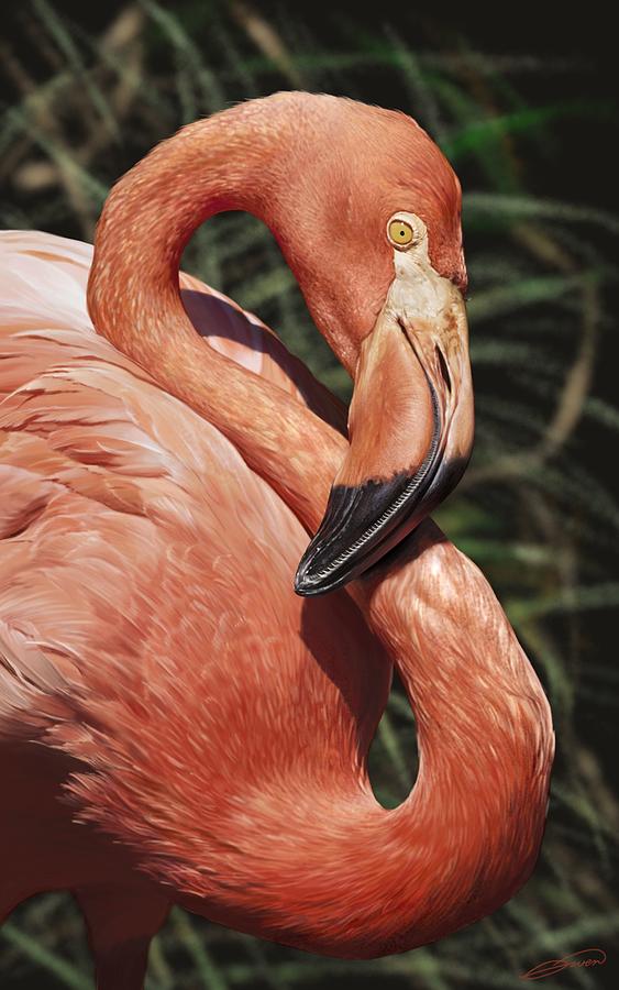 Caribbean Flamingo Digital Art by Owen Bell