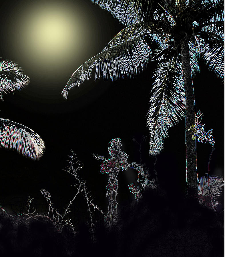 Caribbean Nights Digital Art by Ian  MacDonald