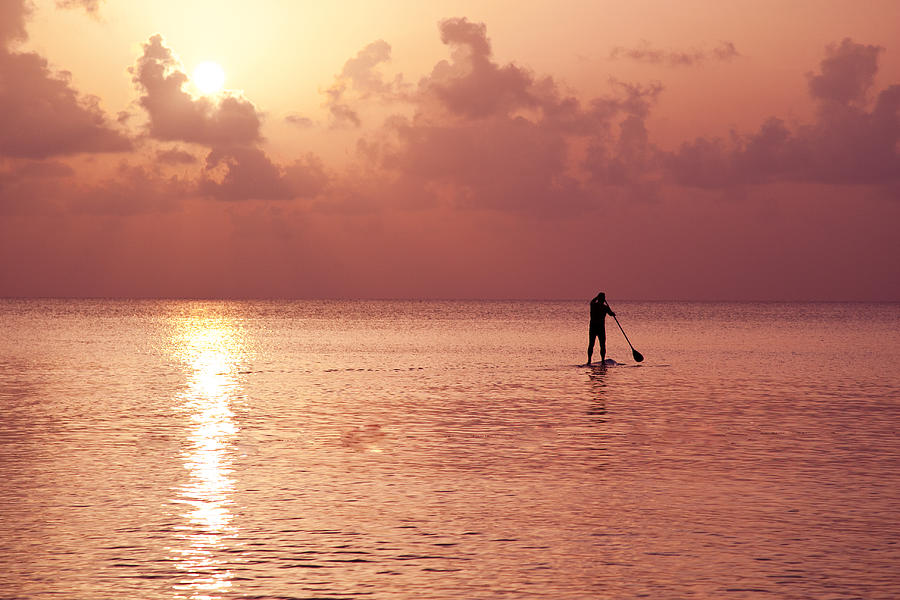 Georgetown University Photograph - Caribbean Paddleboarder by Paul Huchton