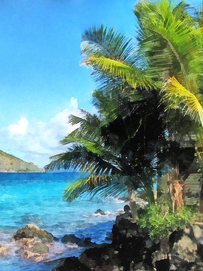 Caribbean - Palm Trees and Beach St. Thomas VI Photograph by Susan Savad