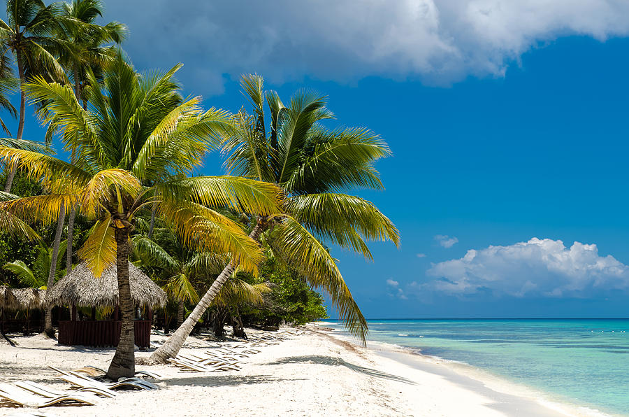 Caribbean paradise Photograph by Anastasia E | Pixels
