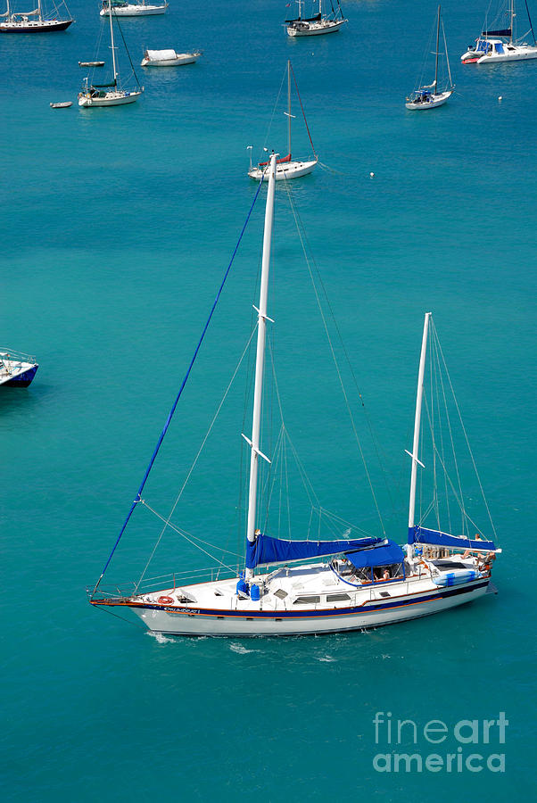 Caribbean Sailboat Photograph by Amy Cicconi