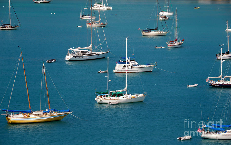Caribbean Sailboats Photograph by Amy Cicconi