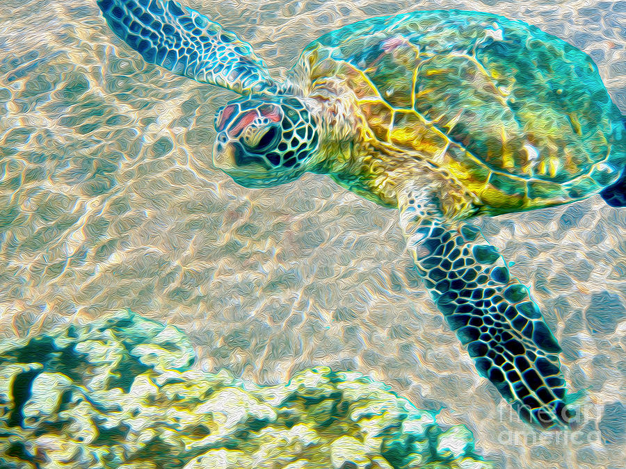 Starfish Mixed Media - Beautiful Sea Turtle by Jon Neidert