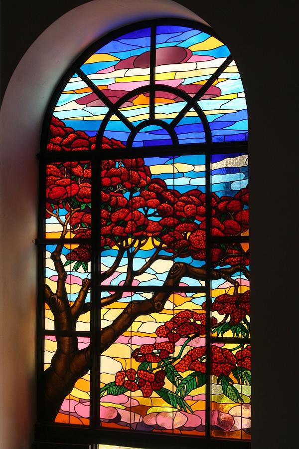 Caribbean Stained Glass  Photograph by Alice Terrill
