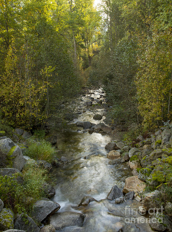 Fall Photograph - Caribou Creek by Idaho Scenic Images Linda Lantzy