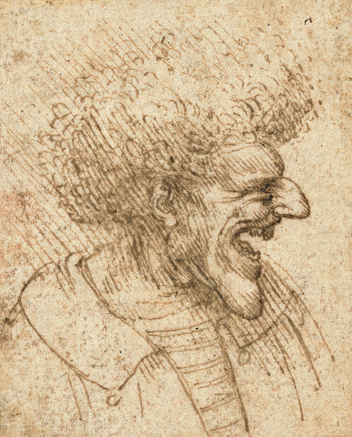 Caricature Of A Man With Bushy Hair Photograph by The Getty/science Photo Library