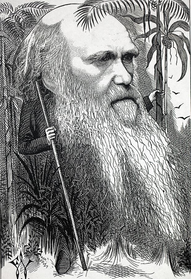 Caricature Of Charles Darwin Photograph by Paul D Stewart