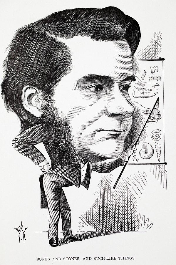 Caricature Of Thomas Huxley Photograph by Paul D Stewart