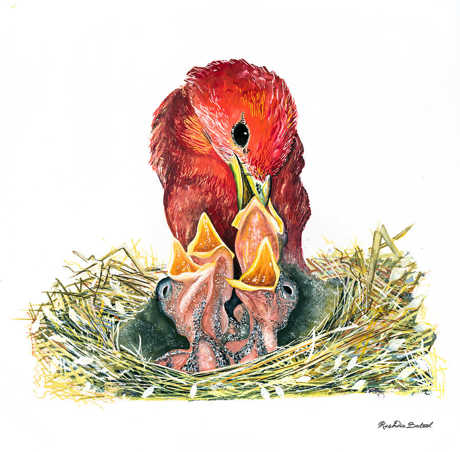 Carinal Feed Baby Birds Painting by Rushdia Batool