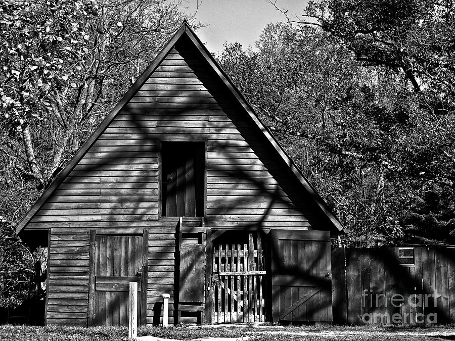 Black And White Photograph - Carl Sandburg Connemara Farm by Scott Moore