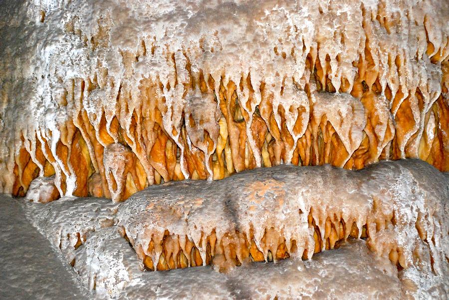Carlsbad Caverns National Park Photograph - Carlsbad Caverns 13 by T C Brown