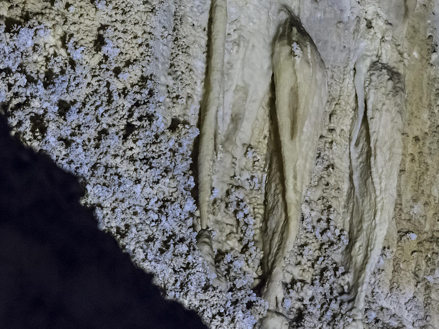 Carlsbad Caverns Detail Photograph by Jean Noren