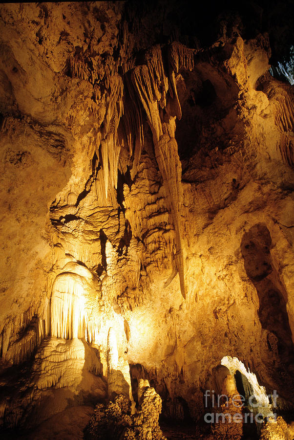 Carlsbad Caverns, New Mexico Photograph by Mark Newman
