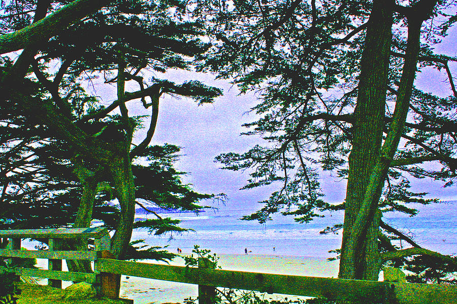 Carmel and her Fences  Photograph by Joseph Coulombe