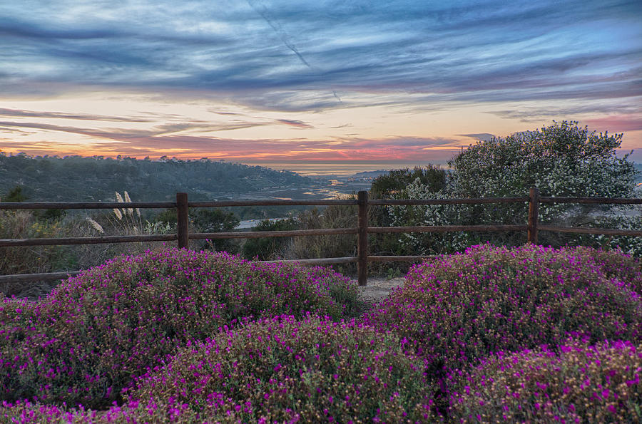 Carmel Valley Sunset - San Diego - California Photograph by Bruce Friedman